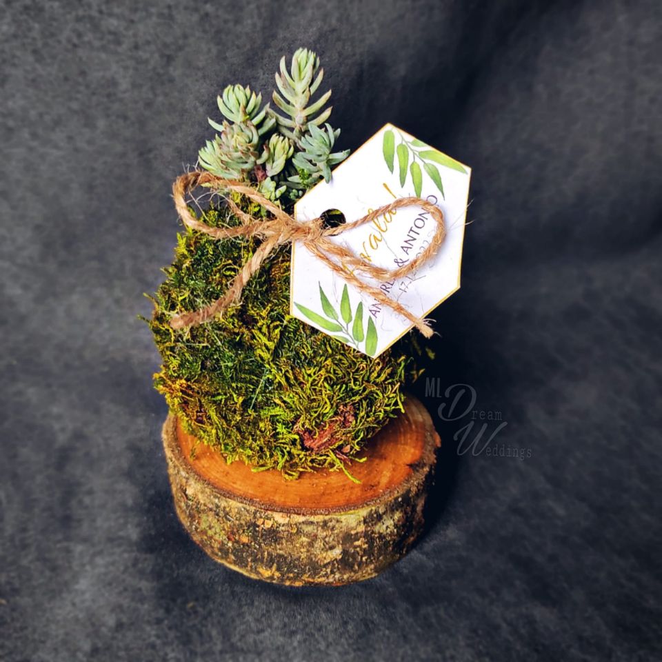 Mini kokedama