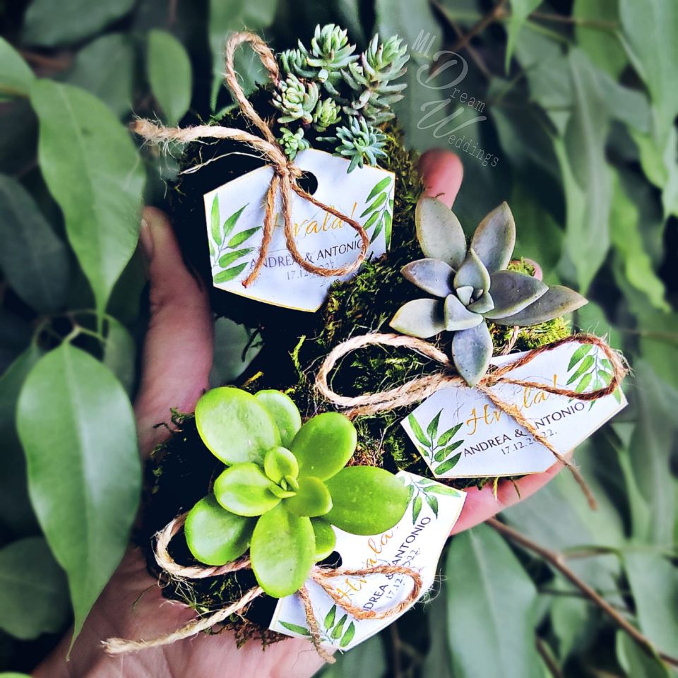 Mini kokedama
